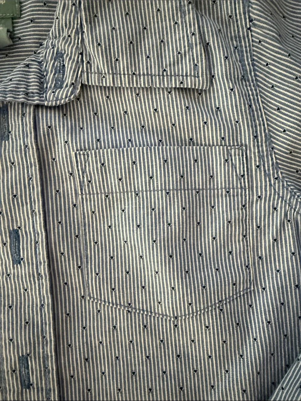 GAP Blue Pinstripe Button-Down Shirt